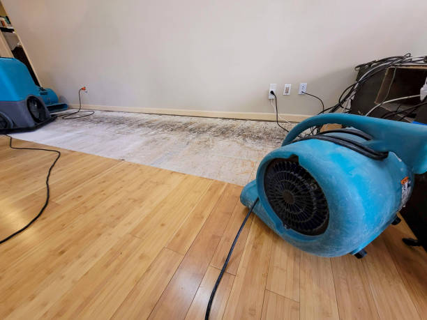 Professional Burst Pipe Water Damage technician working in Caledonia, MN
